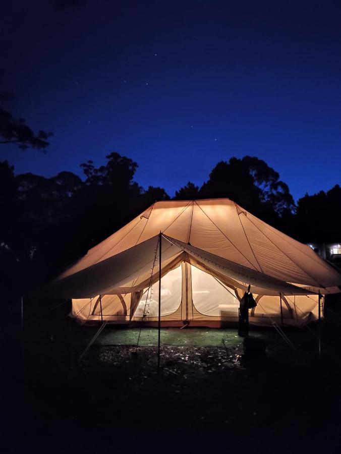 Glamping At Zeehan Bush Camp Exterior photo