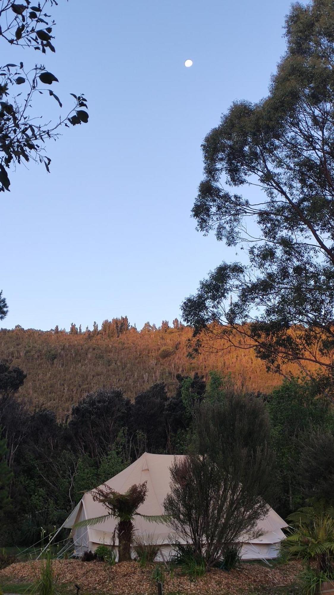 Glamping At Zeehan Bush Camp Exterior photo