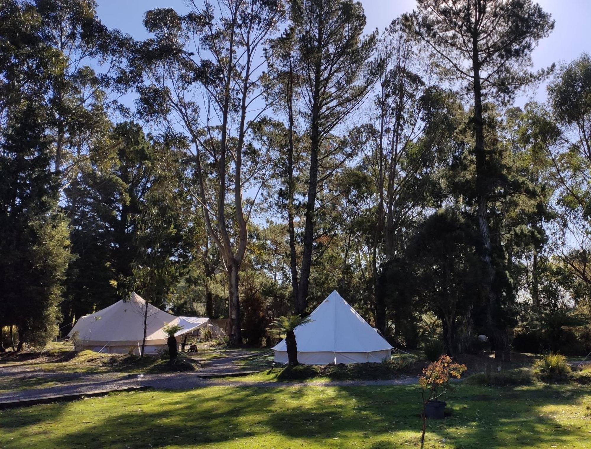 Glamping At Zeehan Bush Camp Exterior photo