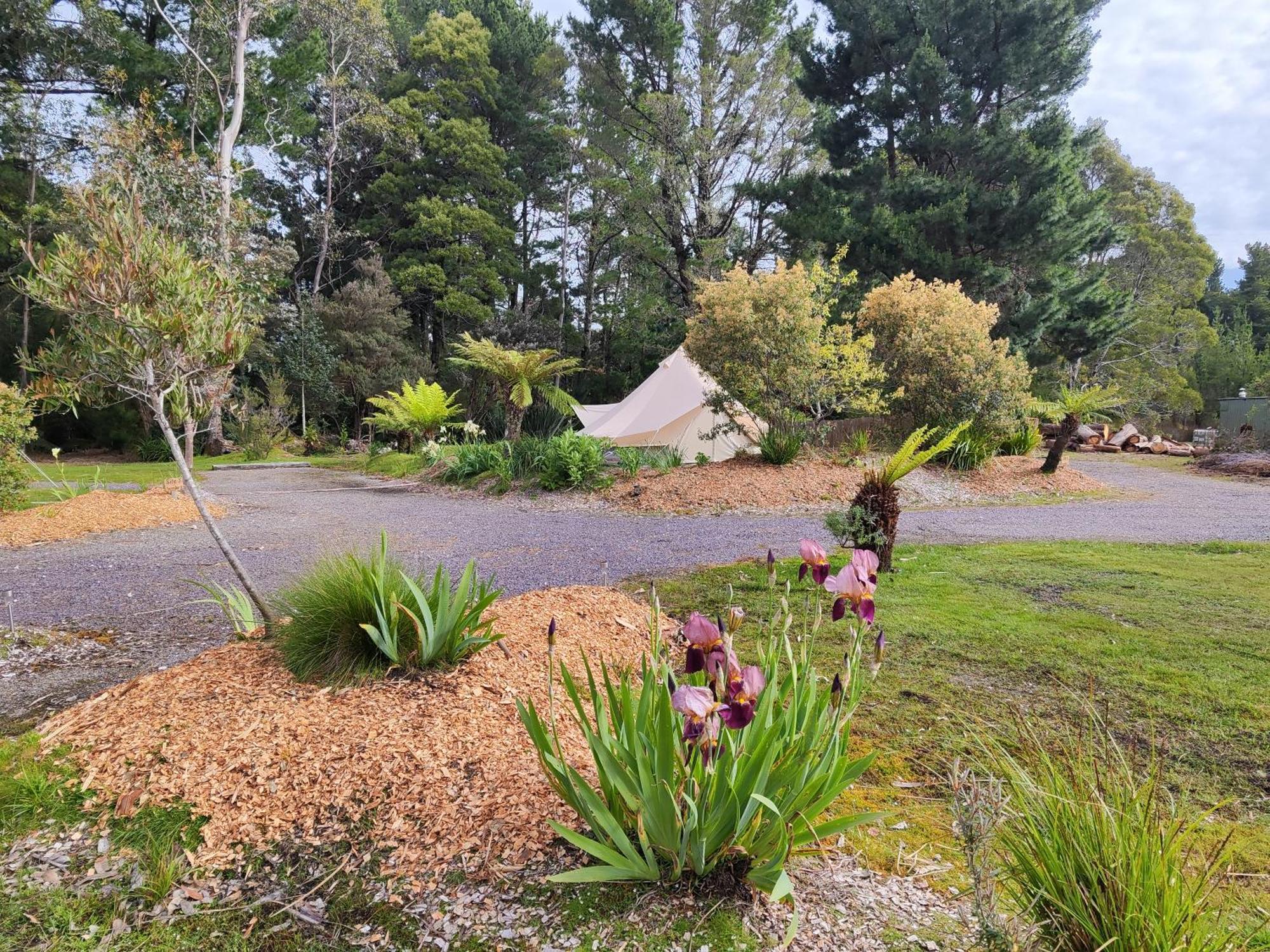 Glamping At Zeehan Bush Camp Exterior photo